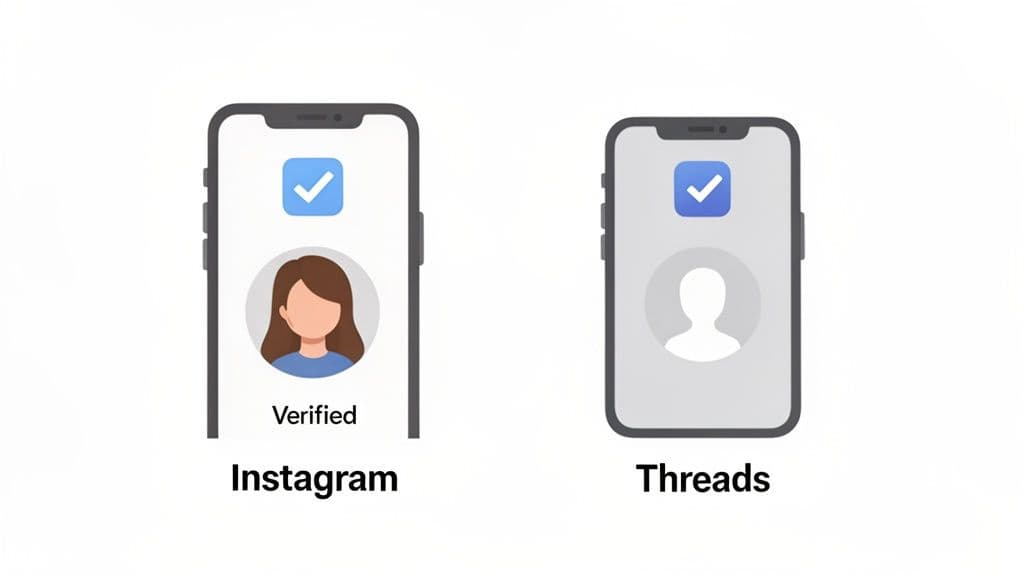 How to Get Verified on Threads: An Up-to-Date Guide