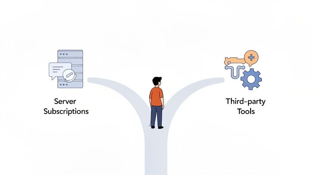 Discord Guide: discord monetization: paid roles, tiers, and perks for creators