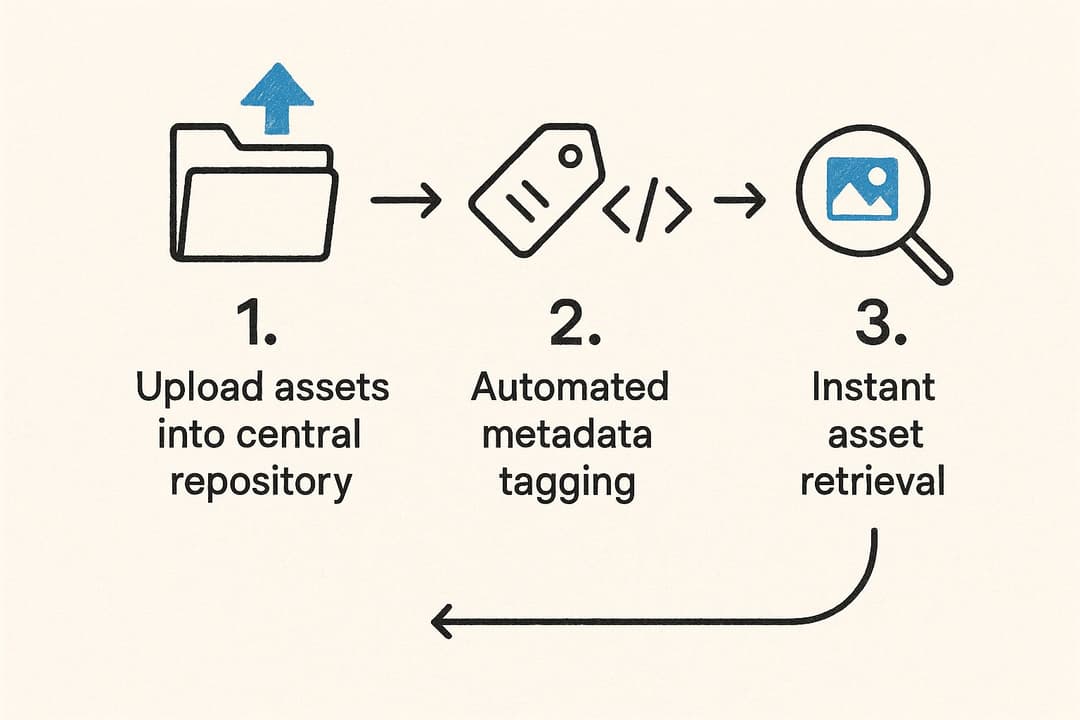 A Guide to Digital Asset Management Workflow